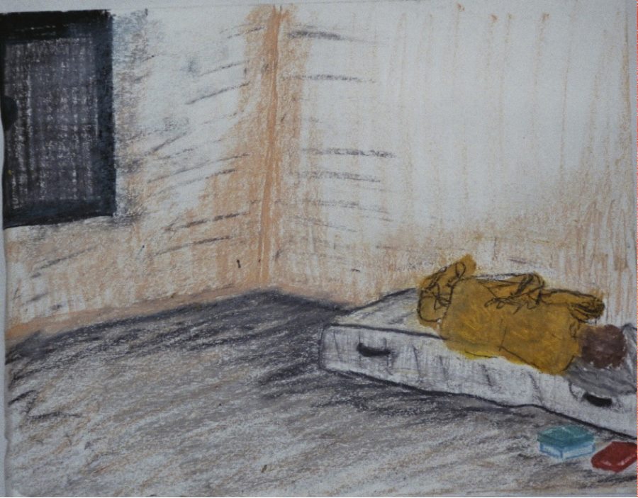 "Isolation as Punishment." A Pastel by Karen Haines RP MScN